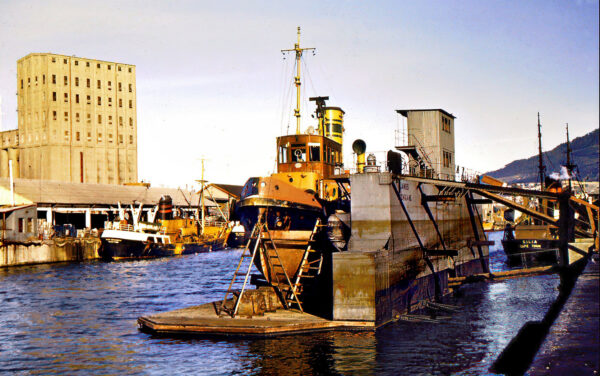 V&A Waterfront Walking Tour - 1 September 2024 (Copy) - Image 3
