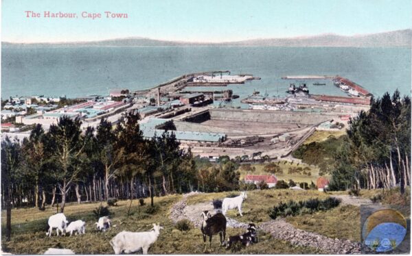 V&A Waterfront Walking Tour - 1 September 2024 (Copy) - Image 9